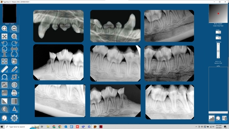 QuickView Veterinary Imaging Software